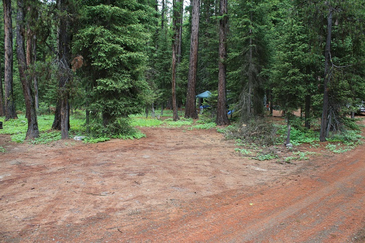 Kennally Creek Forest Camp - Campsites