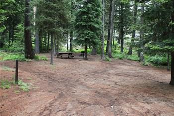 Kennally Creek Forest Camp - Campsites
