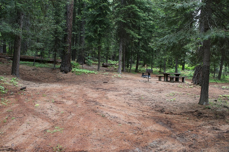 Kennally Creek Forest Camp - Campsites