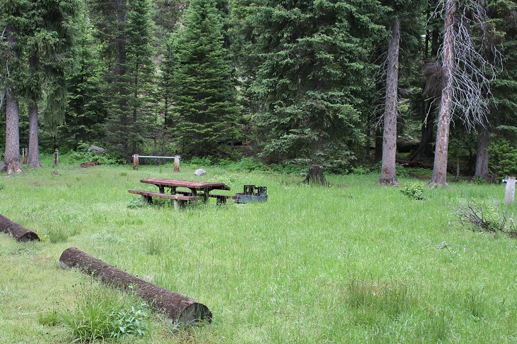 Kennally Creek Forest Camp equine facilities