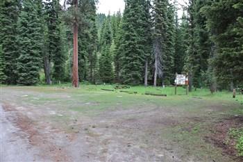 Kennally Creek Forest Camp equine facilities