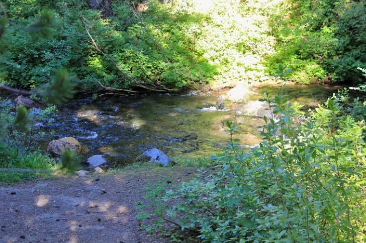 Camping in Washingtons Killen Creek Campground.