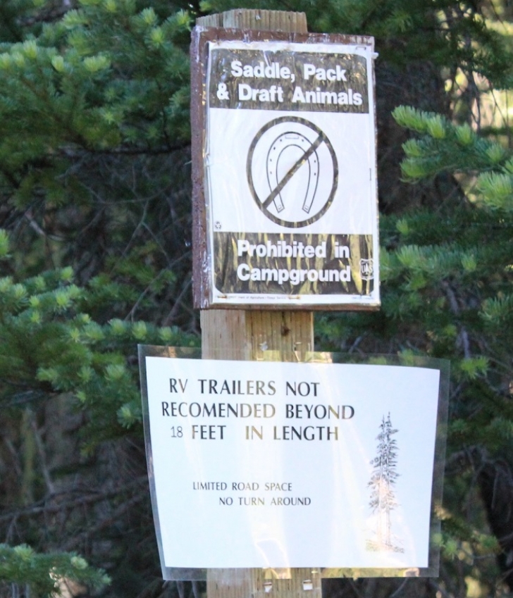 Camping in Washingtons Killen Creek Campground.