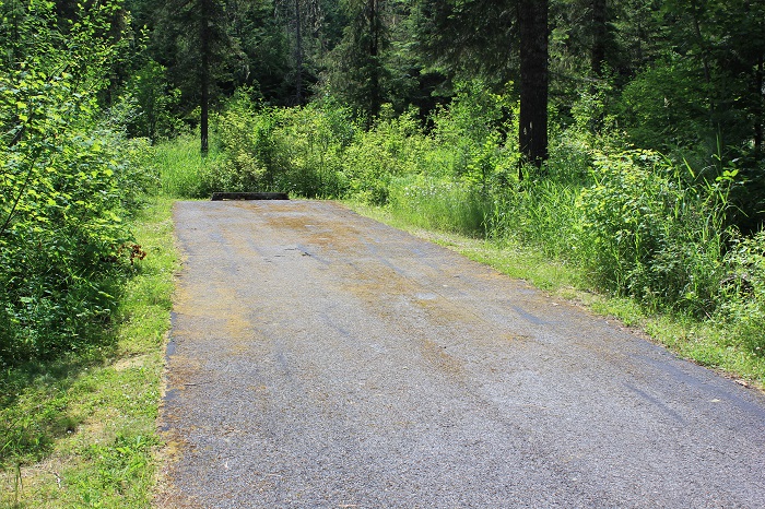 Kit Price Campground on the Coeur d'Alene River.