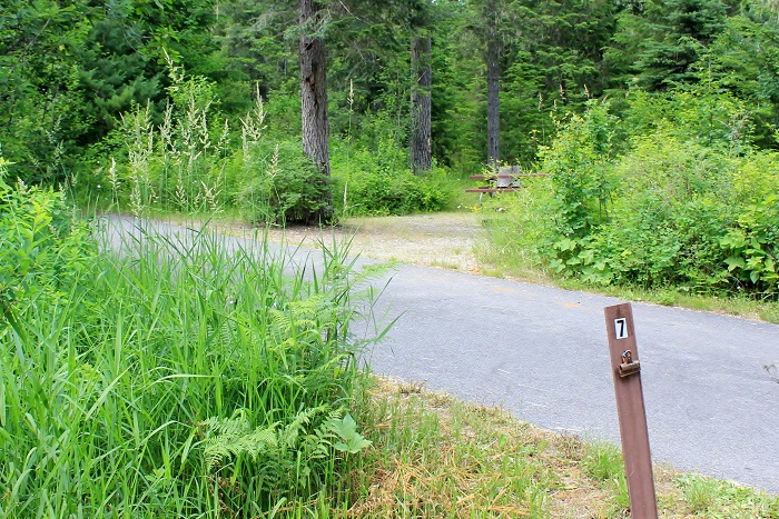 Kit Price Campground on the Coeur d'Alene River.