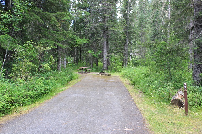 Kit Price Campground on the Coeur d'Alene River.