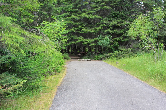 Kit Price Campground on the Coeur d'Alene River.