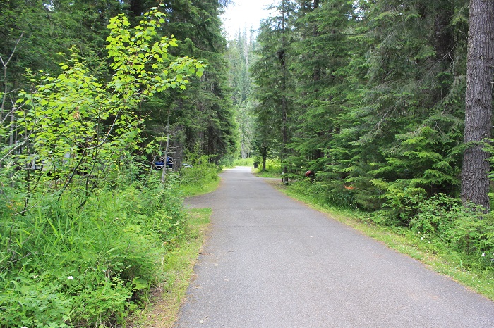 Kit Price Campground on the coeur d'Alene River.