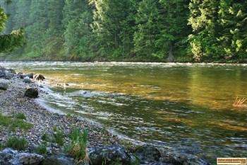 Knife Edge Campground on the Lochsa River
