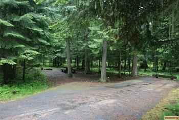 Camping Site Laird Park Campground east of Potlatch, princeton and harvard, idaho