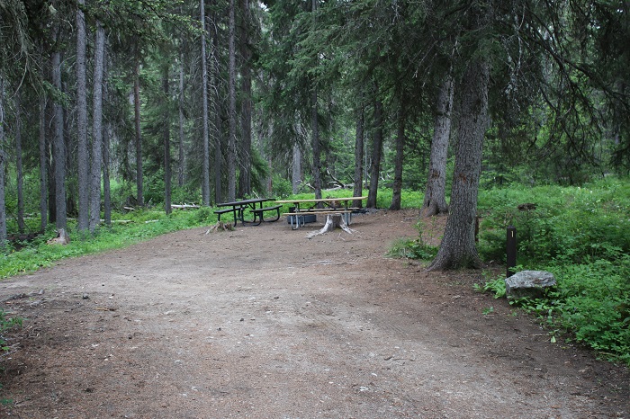 Lake Fork Campground site.