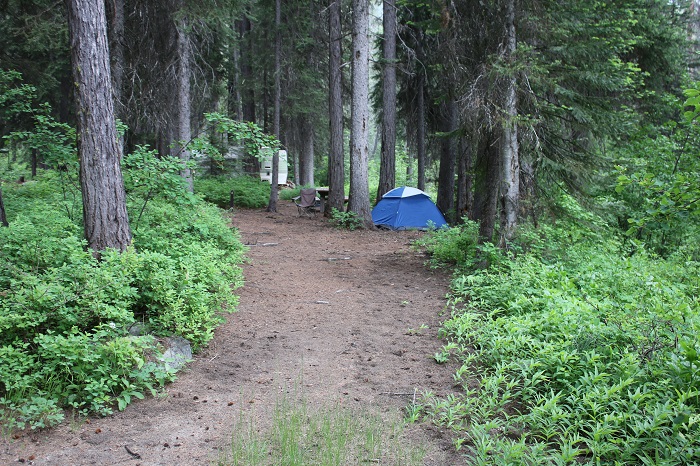 Lake Fork Campground site.