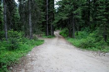 Just a view of Lake Fork Campground.