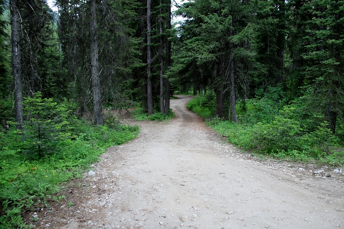 Just a view of Lake Fork Campground.