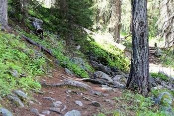 Lake Fork Campground camping info signs.