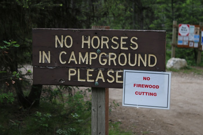 Lake Fork Campground camping info signs.