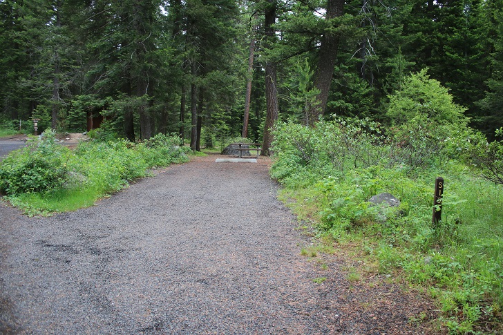 Campsites in Lastchance Campground.