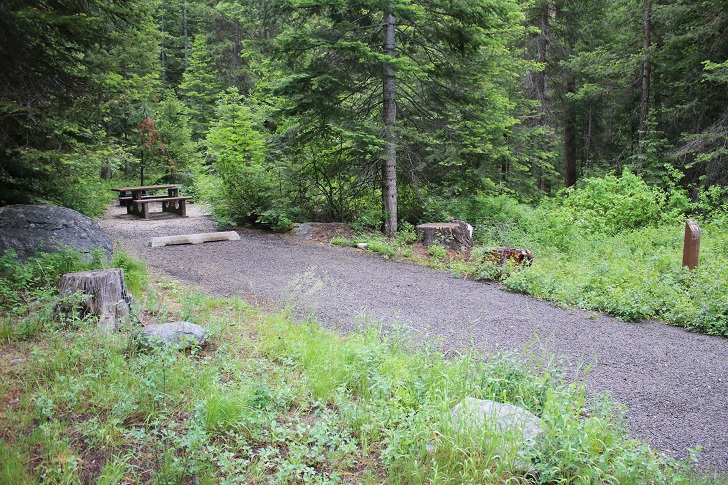 Campsites in Lastchance Campground.