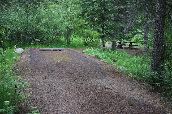 Campsites in Lastchance Campground.