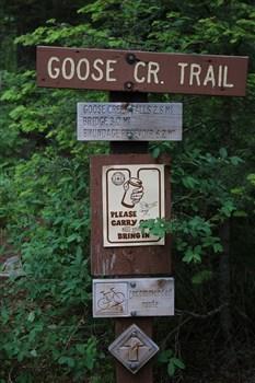 Check out the trail from Last Chance Campground up Goose Creek to Goose Creek Falls and beyond.