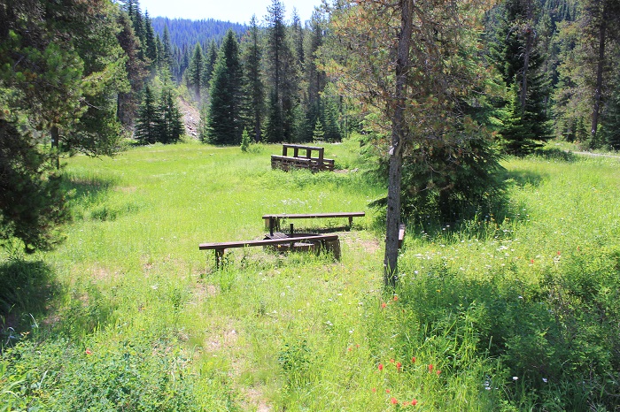 Line Creek Stock Camp