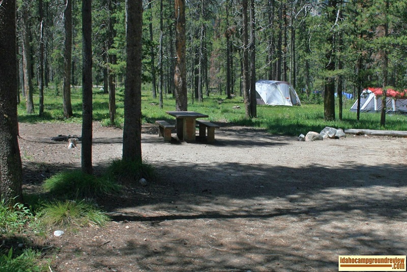 Typical camping site in Lola Creek Campground on Marsh Creek