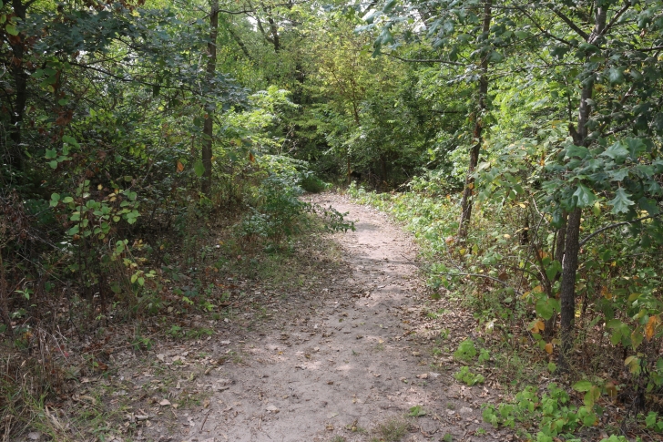 Camping at Louisville State Recreation Area on the Platte River  Nebraska