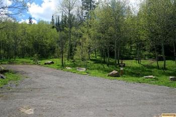 Campsite #6 in Lower Penstemon Campground.