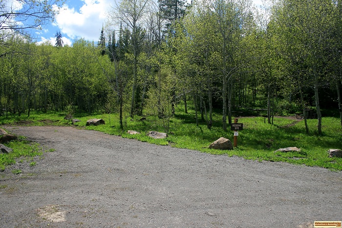 Campsite #6 in Lower Penstemon Campground.