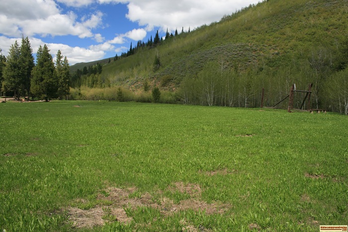 Lower Penstemon Campground has a baseball field!