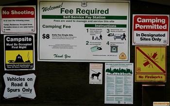 camping info for Lower Penstemon Campground.