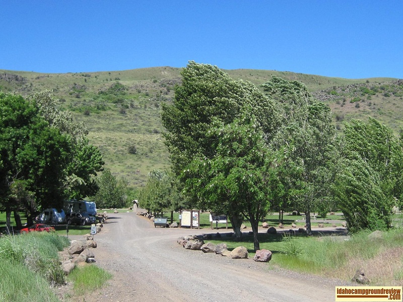 View of Manns Creek  Campground