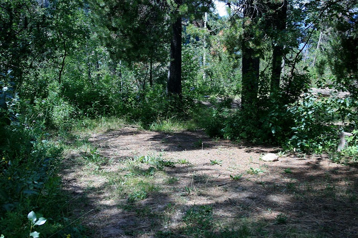 McCoy Creek Campground on Palisades Reservoir.