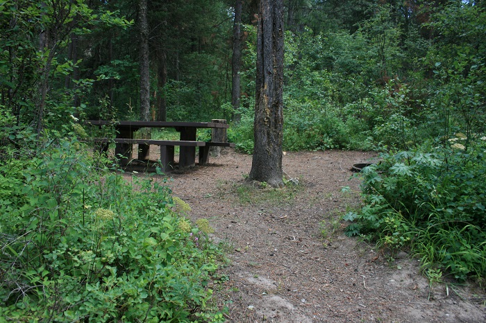 McCoy Creek Campground on Palisades Reservoir.