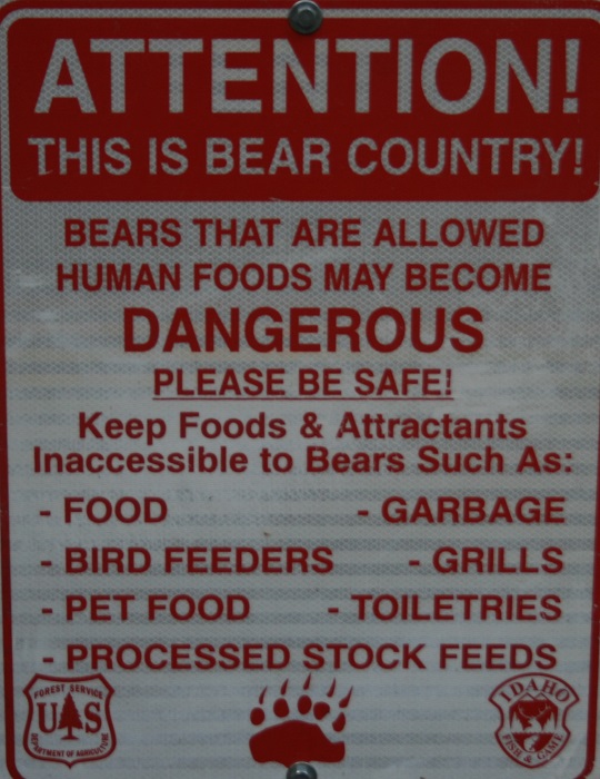 McCoy Creek Campground on Palisades Reservoir.