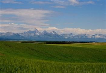 Mike Harris Campground