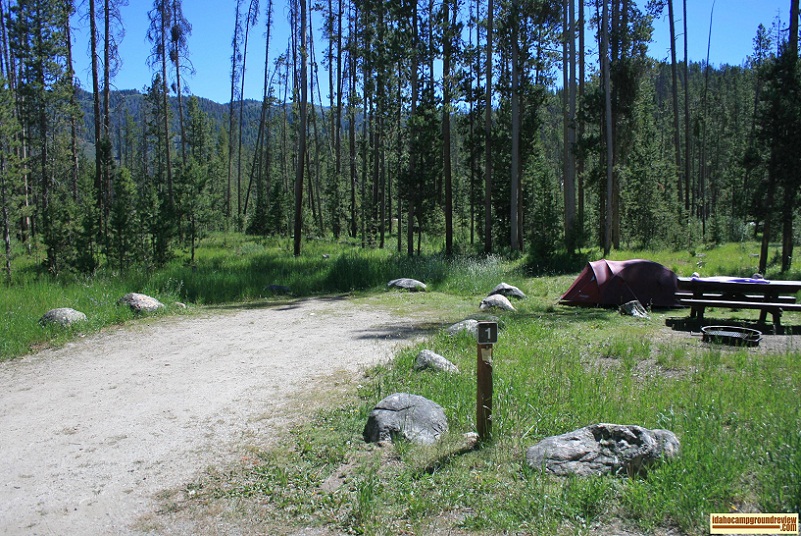 Mountain View Campground on Little Redfish Lake