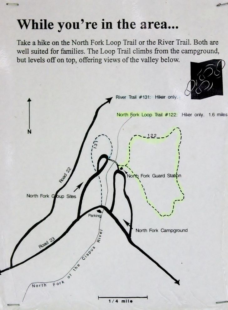 Camping in Washingtons North Fork Campground