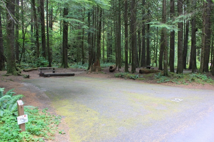 Camping in Washingtons North Fork Campground