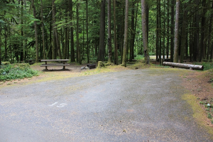 Camping in Washingtons North Fork Campground