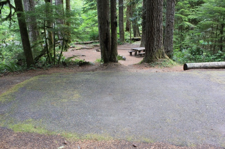 Camping in Washingtons North Fork Campground
