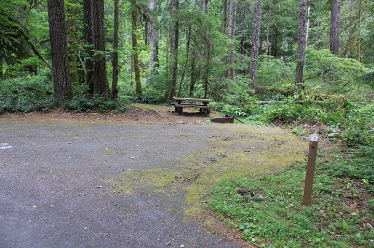 Camping in Washingtons North Fork Campground