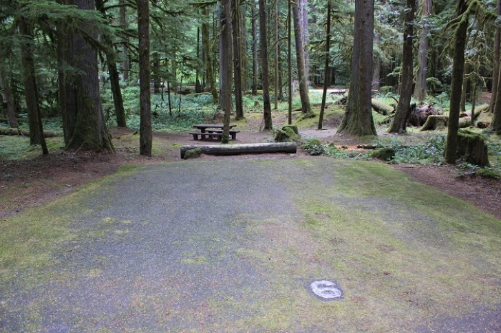 Camping in Washingtons North Fork Campground