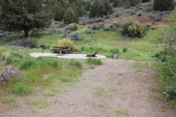 North Fork Recreation Site on the North Fork of the Owyhee River.