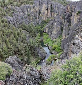North Fork Recreation Site on the North Fork of the Owyhee River.