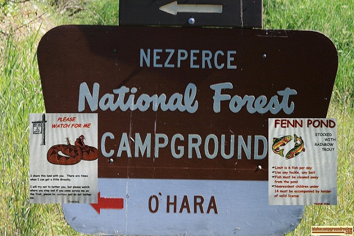 O'Hara Campground on the Selway River