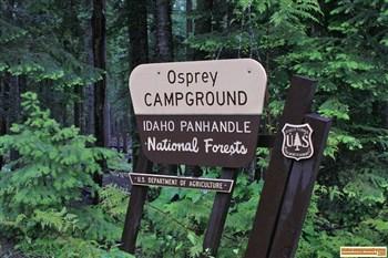 Osprey Campground on Priest Lake