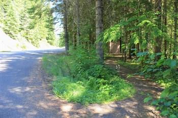 Packsaddle Campground on the St Joe River