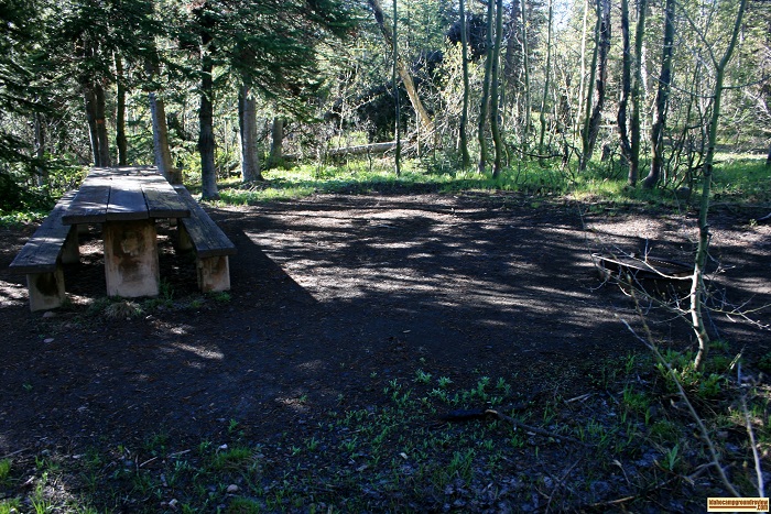 Pettit Campground's campsite