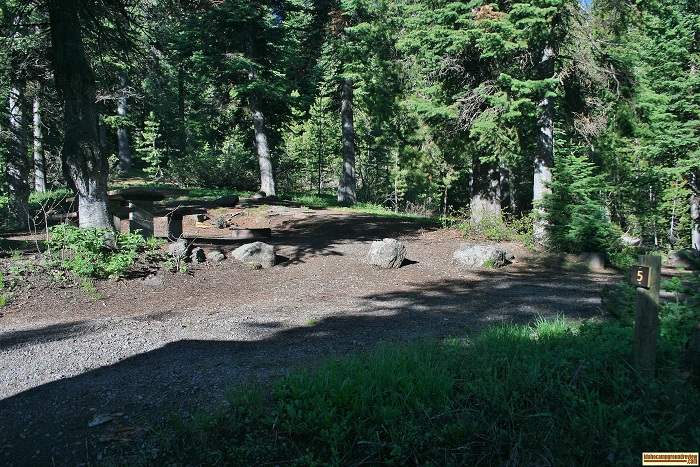 Campsite #5 in Pettit Campground.